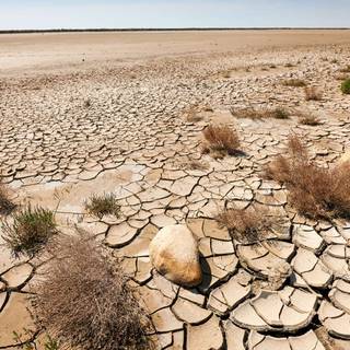 Desertification wallpaper