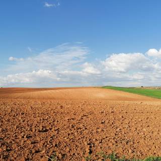 Desertification wallpaper