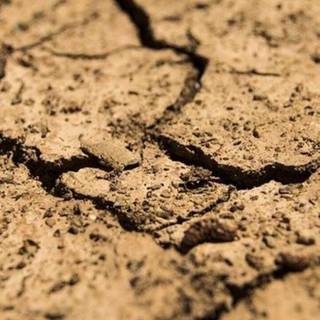 Desertification wallpaper