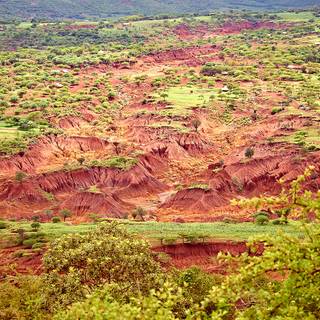 Desertification wallpaper