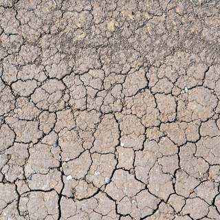 Desertification wallpaper