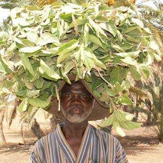 Desertification wallpaper