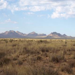 Desertification wallpaper