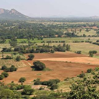 Desertification wallpaper