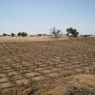 Desertification wallpaper