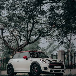 Mini Cooper Countryman wallpaper