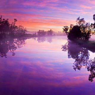 Purple river wallpaper