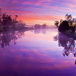 Purple river wallpaper