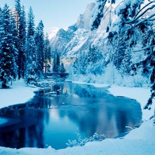 Winter scene blue wallpaper