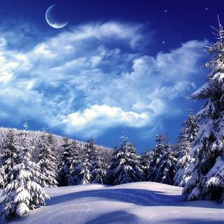 Winter scene blue wallpaper