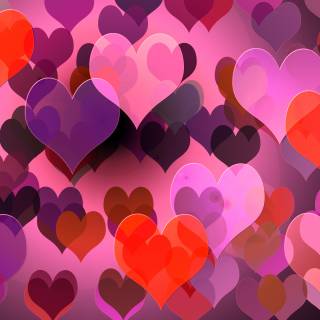 Valentine hearts purple wallpaper