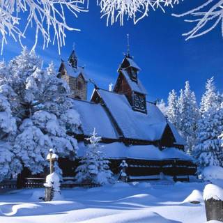 Winter scene blue wallpaper