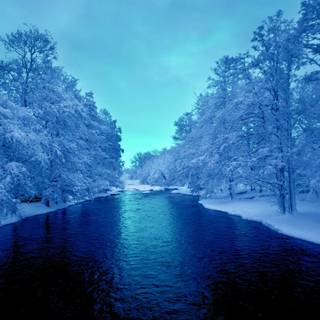 Winter scene blue wallpaper