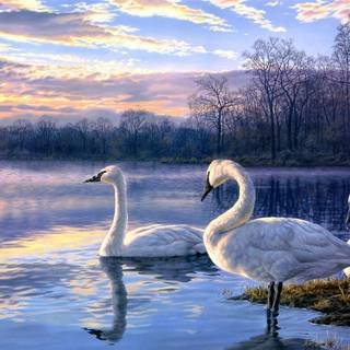 Scenery painting wallpaper