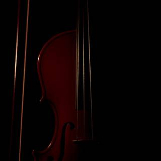 Black violin wallpaper