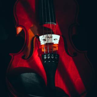 Black violin wallpaper