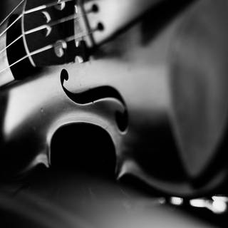 Black violin wallpaper