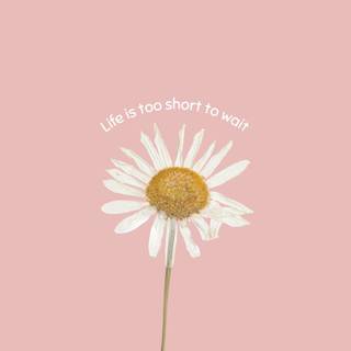 Encouraging words wallpaper