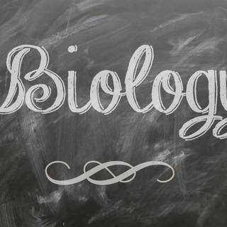 Biologist wallpaper