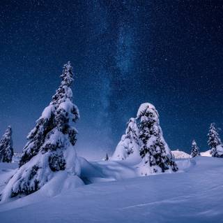 Winter night sky wallpaper