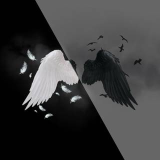 Black and white wings wallpaper