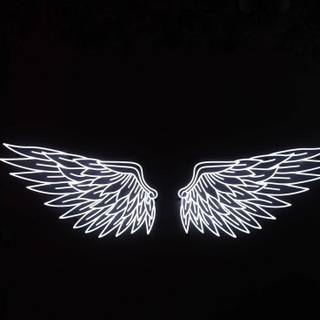 Black and white wings wallpaper