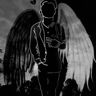 Black and white wings wallpaper