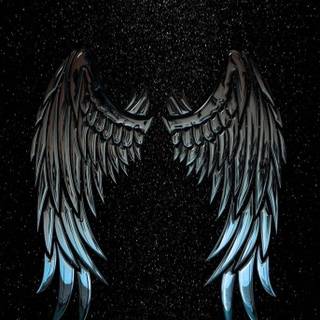 Black and white wings wallpaper