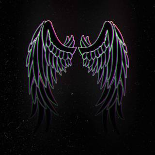 Black and white wings wallpaper