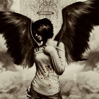 Black and white wings wallpaper