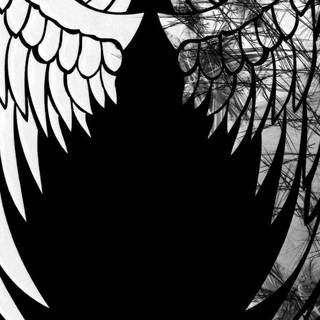 Black and white wings wallpaper