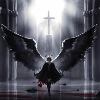 Black and white wings wallpaper