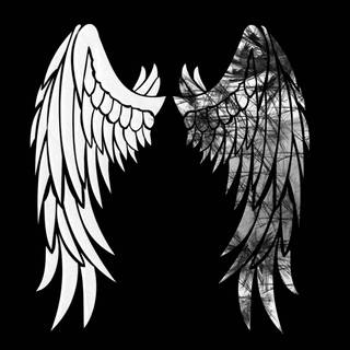 Black and white wings wallpaper
