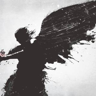Black and white wings wallpaper