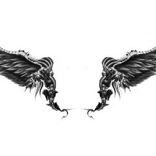 Black and white wings wallpaper