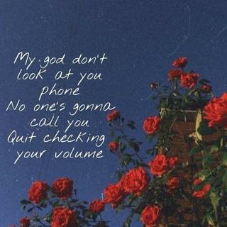 Lyrics Conan Gray wallpaper