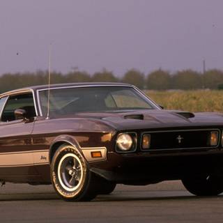 1973 Ford Mustang wallpaper