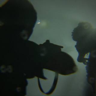 Infected The Last Of Us wallpaper