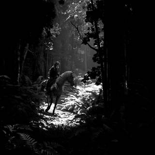 Infected The Last Of Us wallpaper