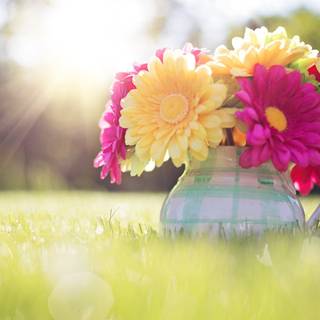 Spring flower vase wallpaper