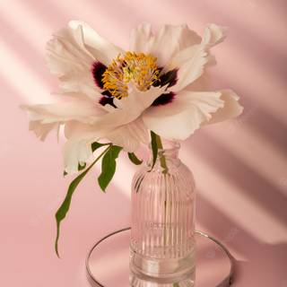 Spring flower vase wallpaper