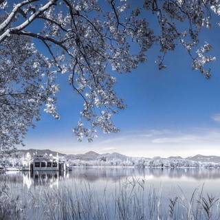 Colorful winter scenes wallpaper
