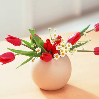 Spring flower vase wallpaper