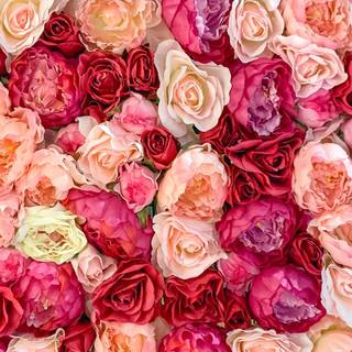 Cute Valentine iPhone wallpaper