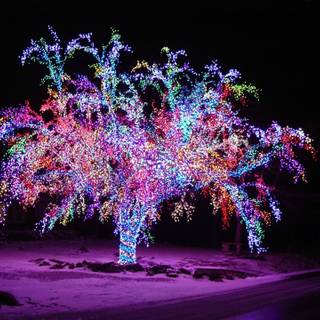 Colorful winter scenes wallpaper