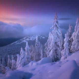 Colorful winter scenes wallpaper