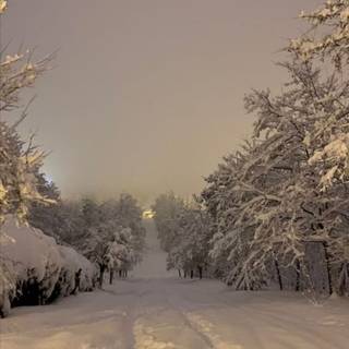 Colorful winter scenes wallpaper