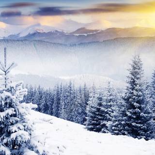 Cute winter sences wallpaper