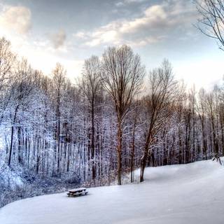 Colorful winter scenes wallpaper