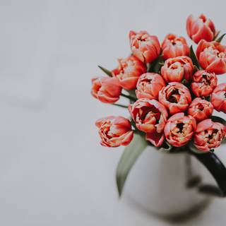 Spring flower vase wallpaper